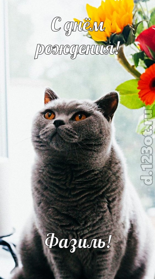 романтичная открытка с днём рождения фазиль, скачать онлайн бесплатно на iphone для вацап, поздравление фазиль