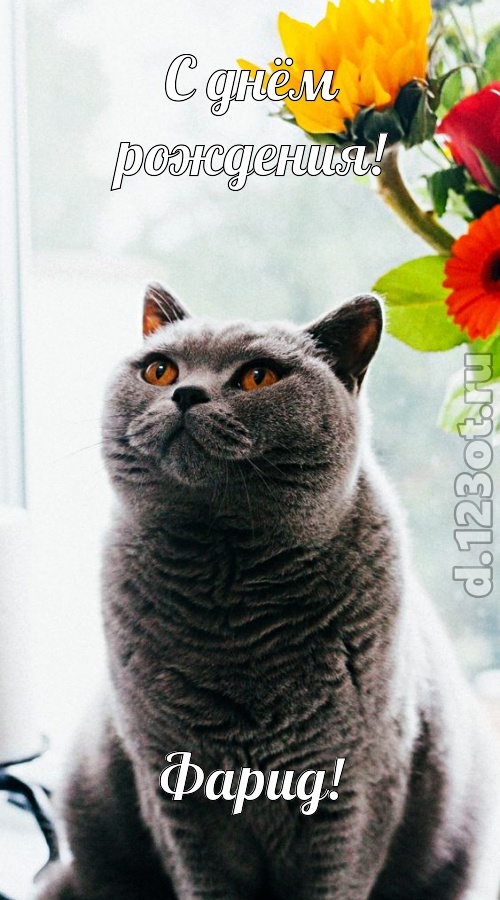 романтичная открытка с днём рождения фарид, скачать онлайн бесплатно на iphone для вацап, поздравление фарид