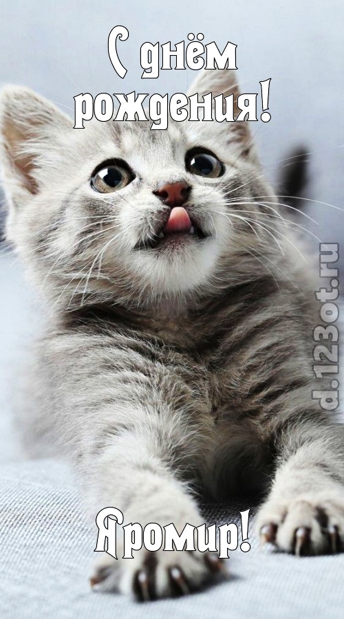 самая-самая-самая любимая открытка с днём рождения яромир, скачать онлайн бесплатно на iphone для вацап, поздравление яромир