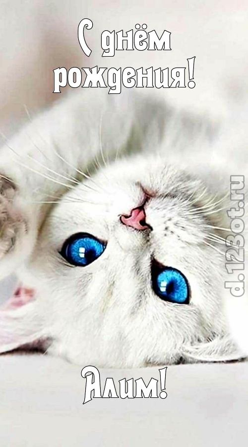 сияющая открытка с днём рождения алим, скачать онлайн бесплатно на iphone для вацап, поздравление алим