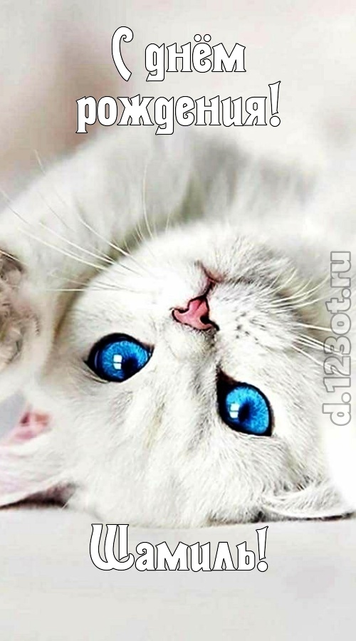сияющая открытка с днём рождения шамиль, скачать онлайн бесплатно на iphone для вацап, поздравление шамиль