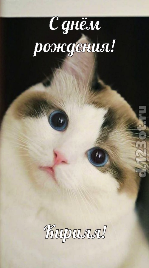 созвучная и гордая открытка с днём рождения кирилл, скачать онлайн бесплатно на iphone для вацап, поздравление кирилл