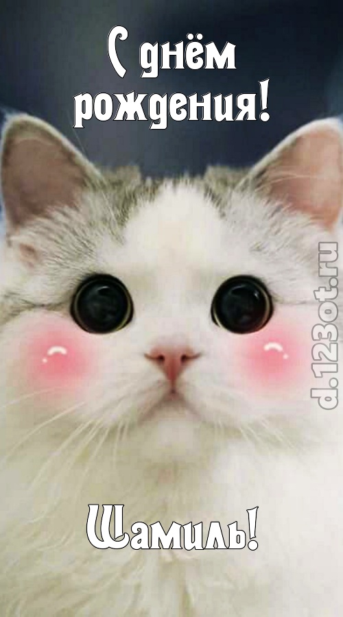 сокровенная открытка с днём рождения шамиль, скачать онлайн бесплатно на iphone для вацап, поздравление шамиль