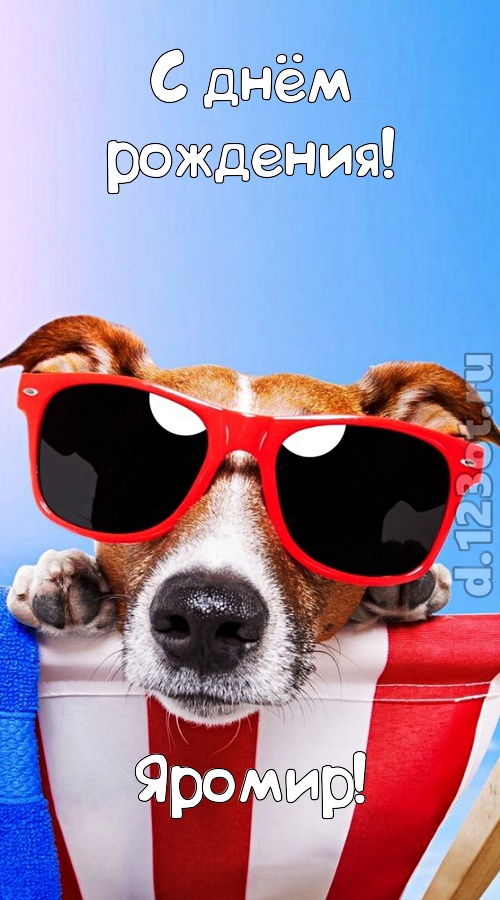 сокрушительная открытка с днём рождения яромир, скачать онлайн бесплатно на iphone для вацап, поздравление яромир