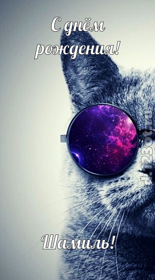 солнечная открытка с днём рождения шамиль, скачать онлайн бесплатно на iphone для вацап, поздравление шамиль