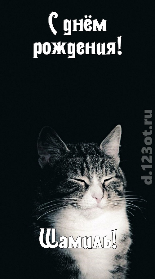 темпераментная открытка с днём рождения шамиль, скачать онлайн бесплатно на iphone для вацап, поздравление шамиль