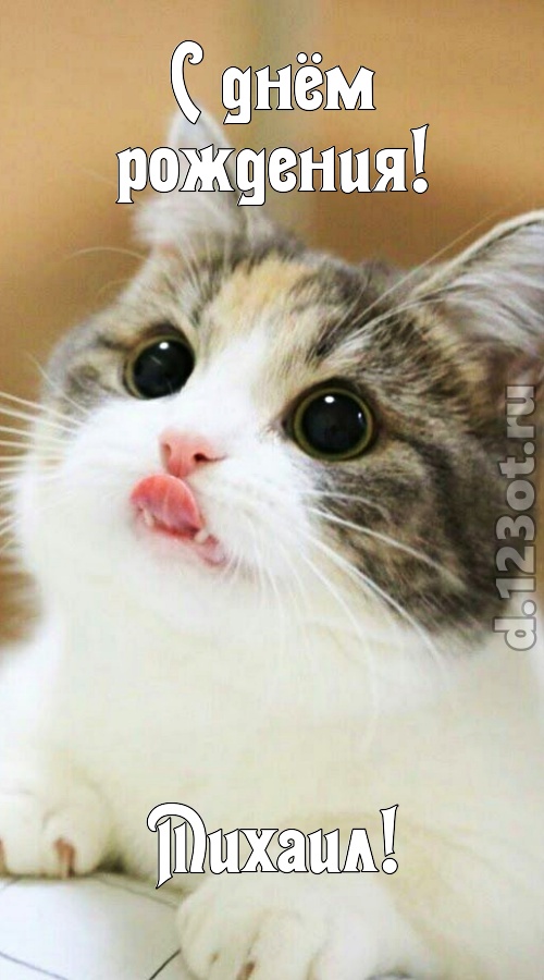 умелая открытка с днём рождения михаил, скачать онлайн бесплатно на iphone для вацап, поздравление михаил