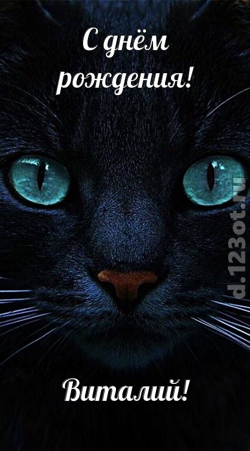 уникальная открытка с днём рождения виталий, скачать онлайн бесплатно на iphone для вацап, поздравление виталий