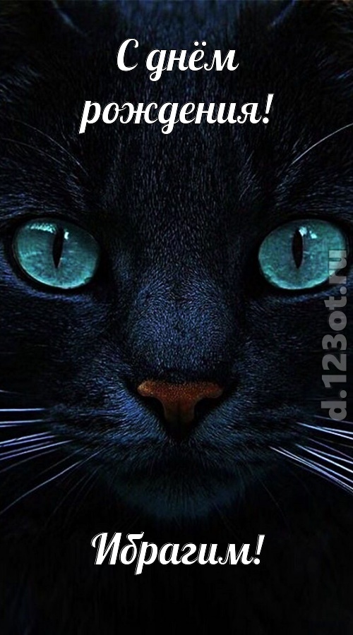 уникальная открытка с днём рождения ибрагим, скачать онлайн бесплатно на iphone для вацап, поздравление ибрагим