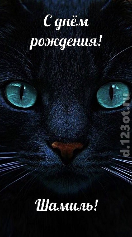 уникальная открытка с днём рождения шамиль, скачать онлайн бесплатно на iphone для вацап, поздравление шамиль