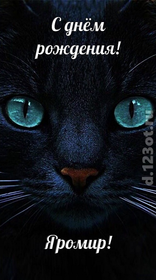уникальная открытка с днём рождения яромир, скачать онлайн бесплатно на iphone для вацап, поздравление яромир