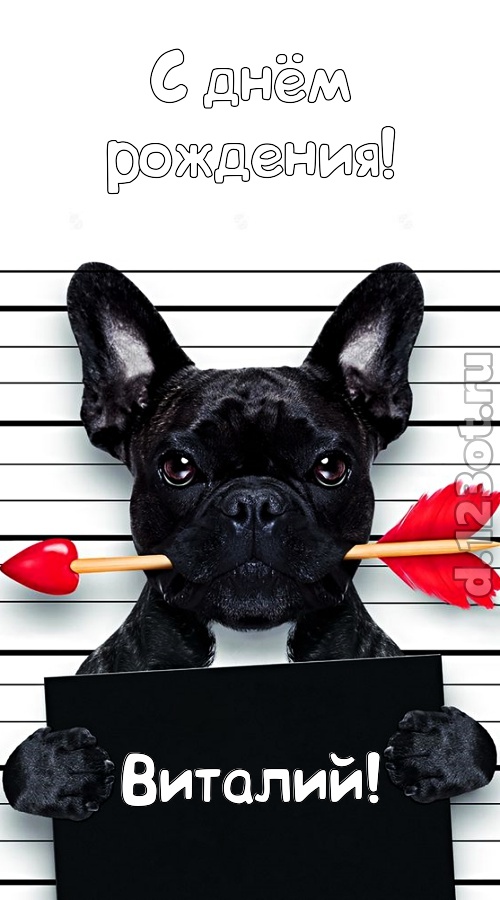 упоительная открытка с днём рождения виталий, скачать онлайн бесплатно на iphone для вацап, поздравление виталий