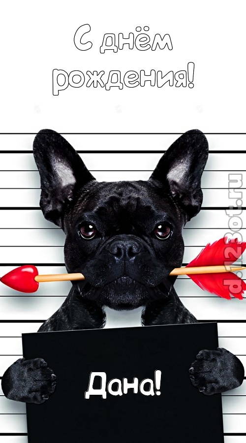 упоительная открытка с днём рождения дана, скачать онлайн бесплатно на iphone для вацап, поздравление дана