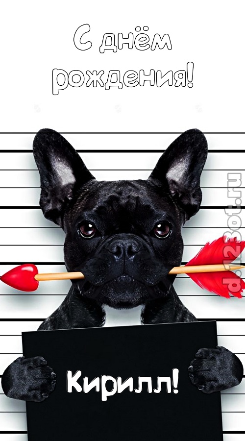 упоительная открытка с днём рождения кирилл, скачать онлайн бесплатно на iphone для вацап, поздравление кирилл