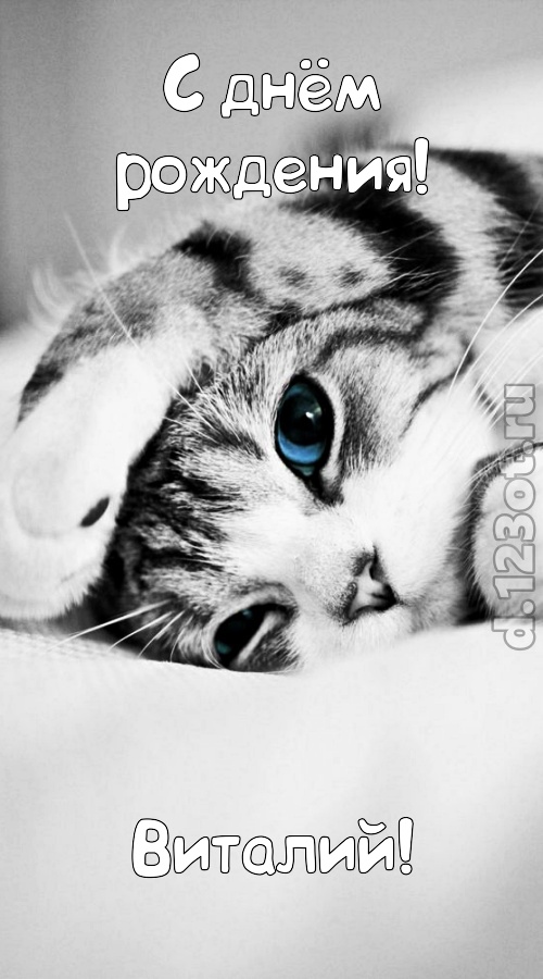 хорошая открытка с днём рождения виталий, скачать онлайн бесплатно на iphone для вацап, поздравление виталий