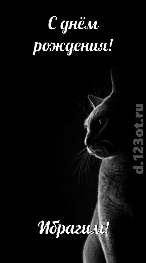 царственная открытка с днём рождения ибрагим, скачать онлайн бесплатно на iphone для вацап, поздравление ибрагим