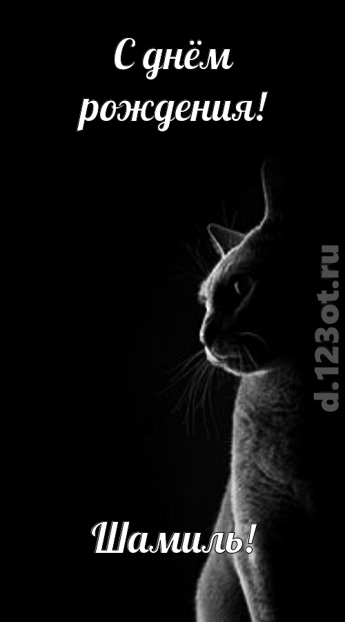 царственная открытка с днём рождения шамиль, скачать онлайн бесплатно на iphone для вацап, поздравление шамиль