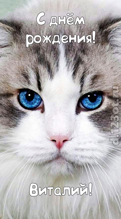 цветущая открытка с днём рождения виталий, скачать онлайн бесплатно на iphone для вацап, поздравление виталий