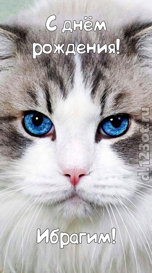 цветущая открытка с днём рождения ибрагим, скачать онлайн бесплатно на iphone для вацап, поздравление ибрагим