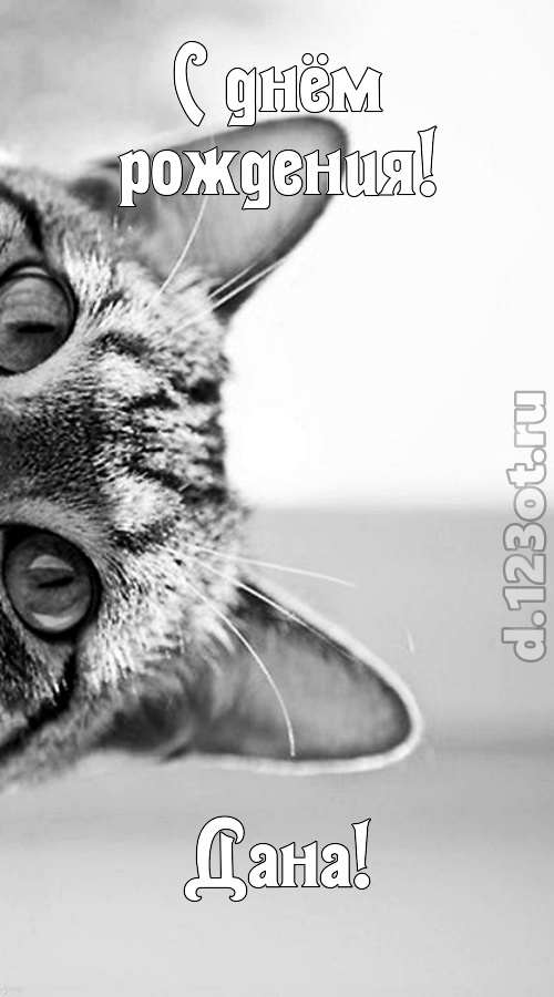 чарующая открытка с днём рождения дана, скачать онлайн бесплатно на iphone для вацап, поздравление дана