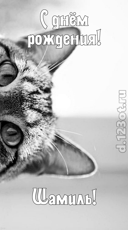 чарующая открытка с днём рождения шамиль, скачать онлайн бесплатно на iphone для вацап, поздравление шамиль