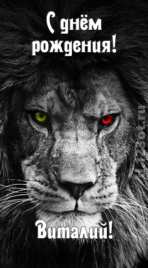 чудодейственная открытка с днём рождения виталий, скачать онлайн бесплатно на iphone для вацап, поздравление виталий