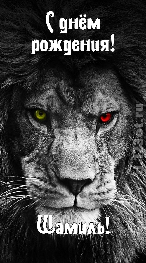 чудодейственная открытка с днём рождения шамиль, скачать онлайн бесплатно на iphone для вацап, поздравление шамиль