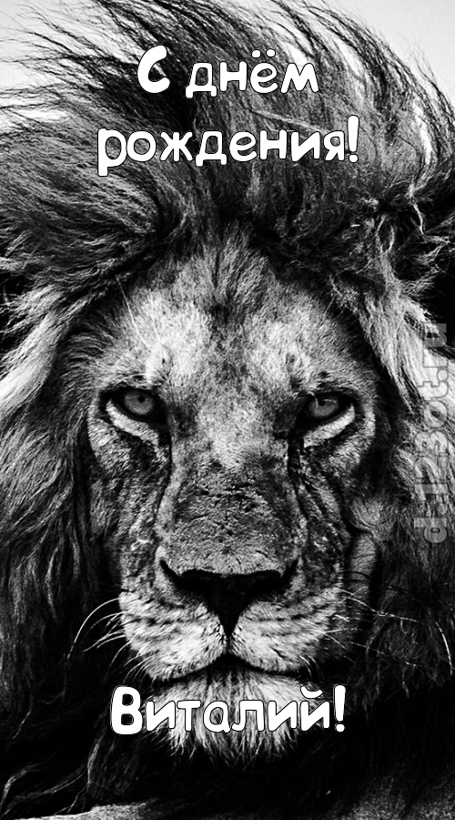 чуткая открытка с днём рождения виталий, скачать онлайн бесплатно на iphone для вацап, поздравление виталий