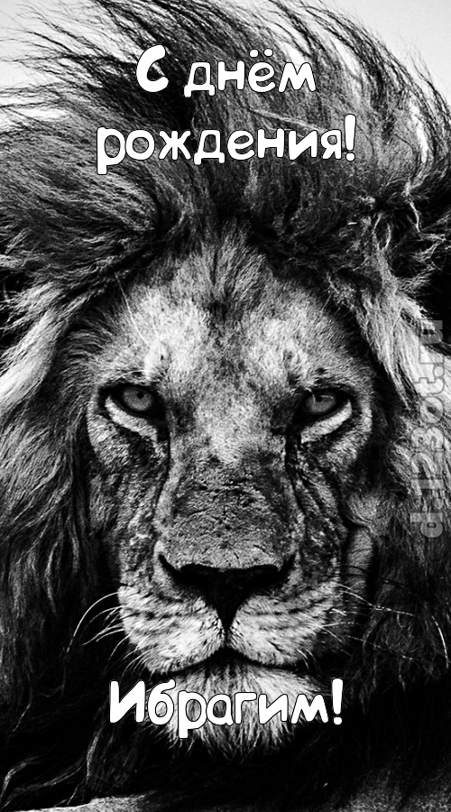 чуткая открытка с днём рождения ибрагим, скачать онлайн бесплатно на iphone для вацап, поздравление ибрагим
