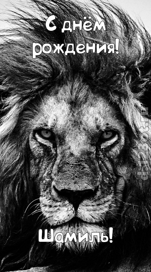 чуткая открытка с днём рождения шамиль, скачать онлайн бесплатно на iphone для вацап, поздравление шамиль
