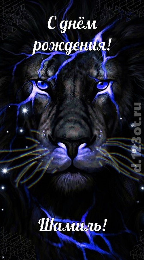 чуть эгоистичная открытка с днём рождения шамиль, скачать онлайн бесплатно на iphone для вацап, поздравление шамиль