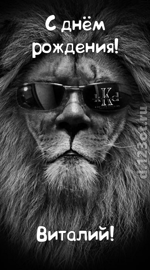 шальная открытка с днём рождения виталий, скачать онлайн бесплатно на iphone для вацап, поздравление виталий
