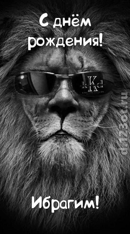 шальная открытка с днём рождения ибрагим, скачать онлайн бесплатно на iphone для вацап, поздравление ибрагим