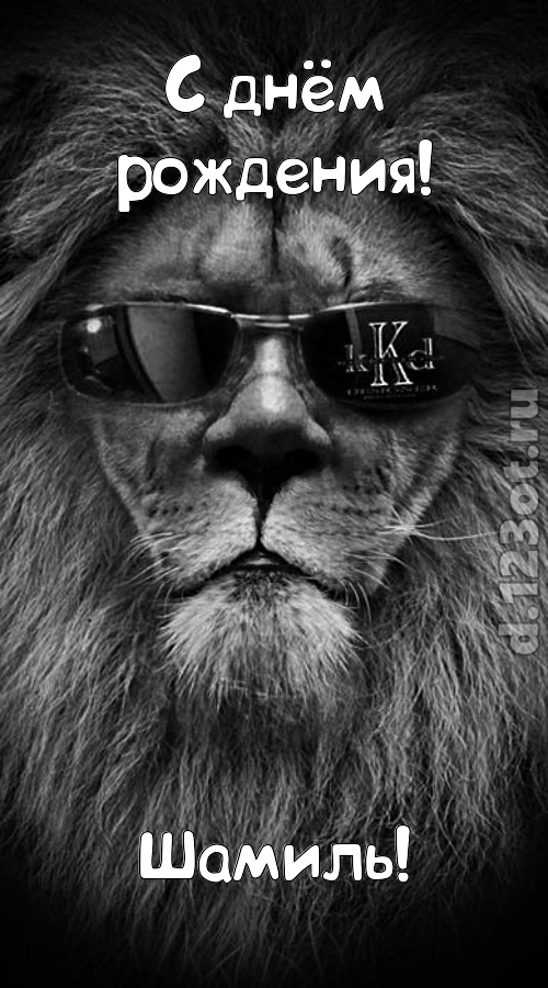 шальная открытка с днём рождения шамиль, скачать онлайн бесплатно на iphone для вацап, поздравление шамиль
