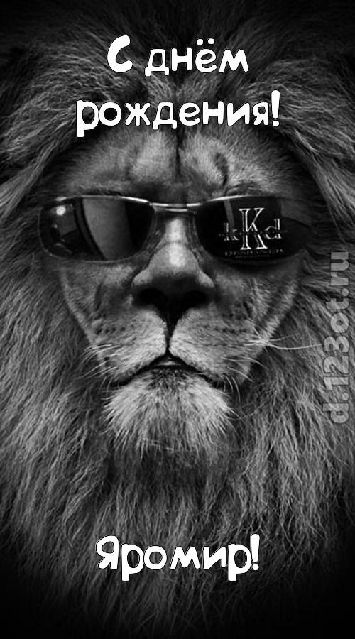 шальная открытка с днём рождения яромир, скачать онлайн бесплатно на iphone для вацап, поздравление яромир