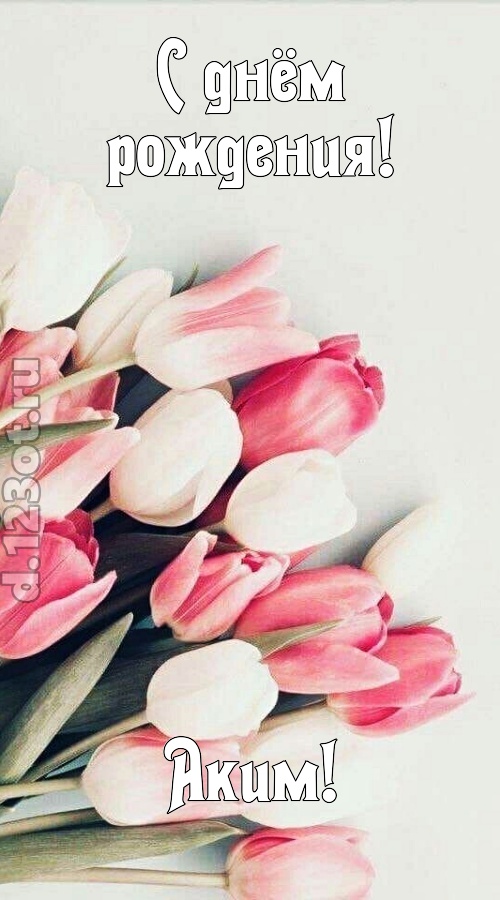 коварная открытка с днём рождения аким, скачать онлайн бесплатно на iphone для вацап, поздравление аким