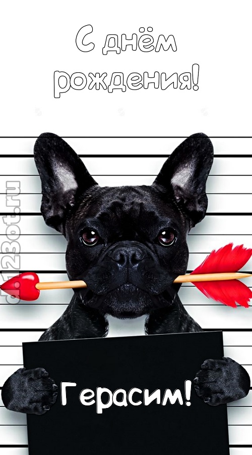 кокетливая открытка с днём рождения герасим, скачать онлайн бесплатно на iphone для вацап, поздравление герасим