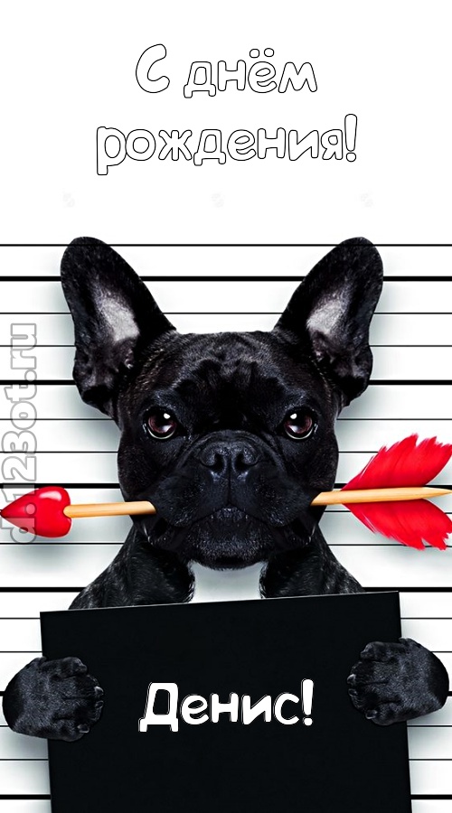 кокетливая открытка с днём рождения денис, скачать онлайн бесплатно на iphone для вацап, поздравление денис