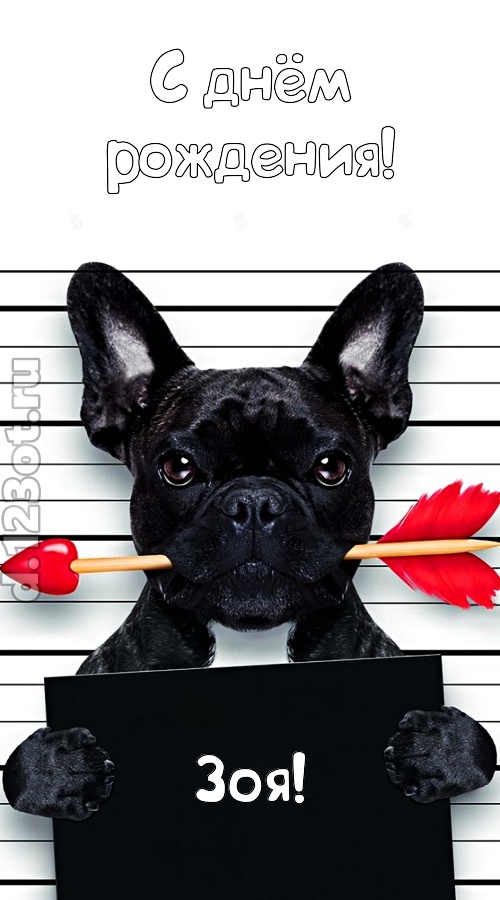 кокетливая открытка с днём рождения зоя, скачать онлайн бесплатно на iphone для вацап, поздравление зоя