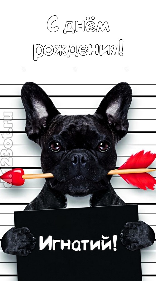 кокетливая открытка с днём рождения игнатий, скачать онлайн бесплатно на iphone для вацап, поздравление игнатий