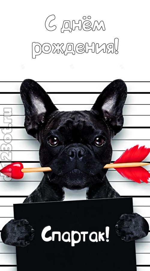 кокетливая открытка с днём рождения спартак, скачать онлайн бесплатно на iphone для вацап, поздравление спартак
