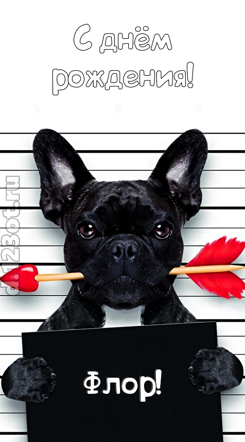 кокетливая открытка с днём рождения флор, скачать онлайн бесплатно на iphone для вацап, поздравление флор