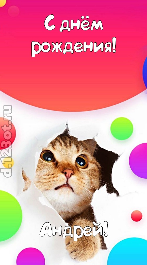 безупречная открытка с днём рождения андрей, скачать онлайн бесплатно на iphone для вацап, поздравление андрей