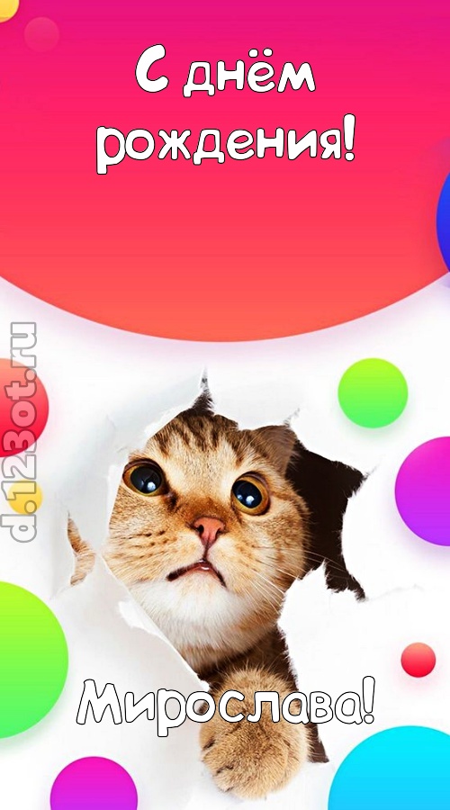 безупречная открытка с днём рождения мирослава, скачать онлайн бесплатно на iphone для вацап, поздравление мирослава