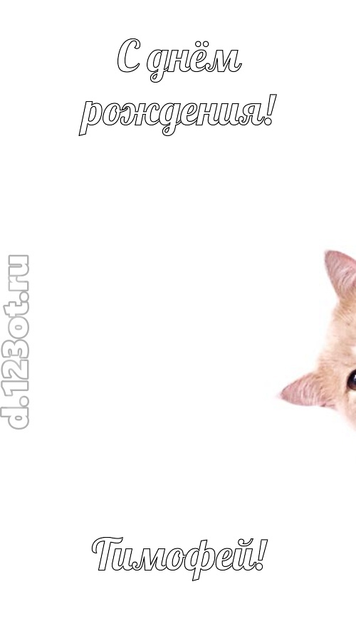 конфетно-мармеладная открытка с днём рождения тимофей, скачать онлайн бесплатно на iphone для вацап, поздравление тимофей
