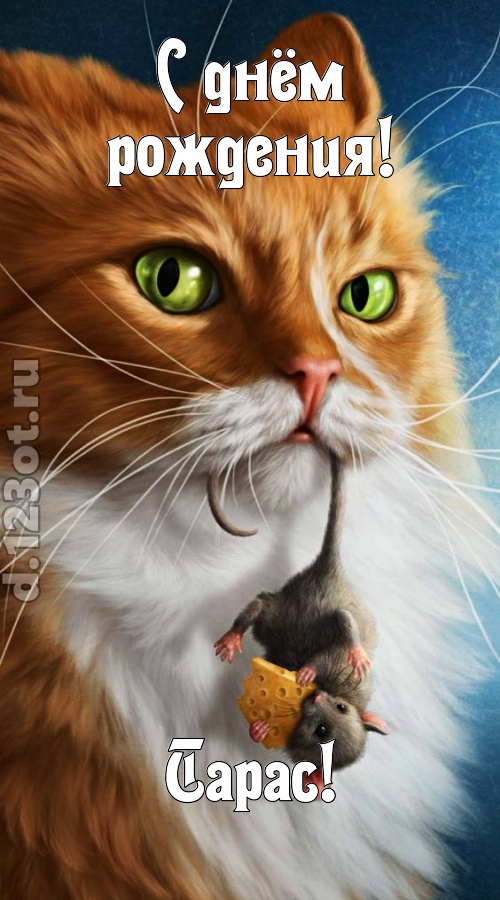 красивая открытка с днём рождения тарас, скачать онлайн бесплатно на iphone для вацап, поздравление тарас