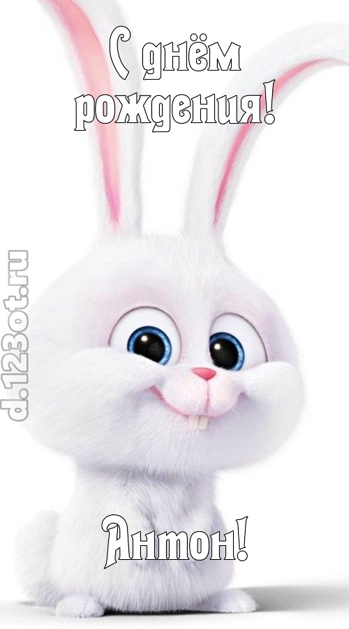 любезная открытка с днём рождения антон, скачать онлайн бесплатно на iphone для вацап, поздравление антон