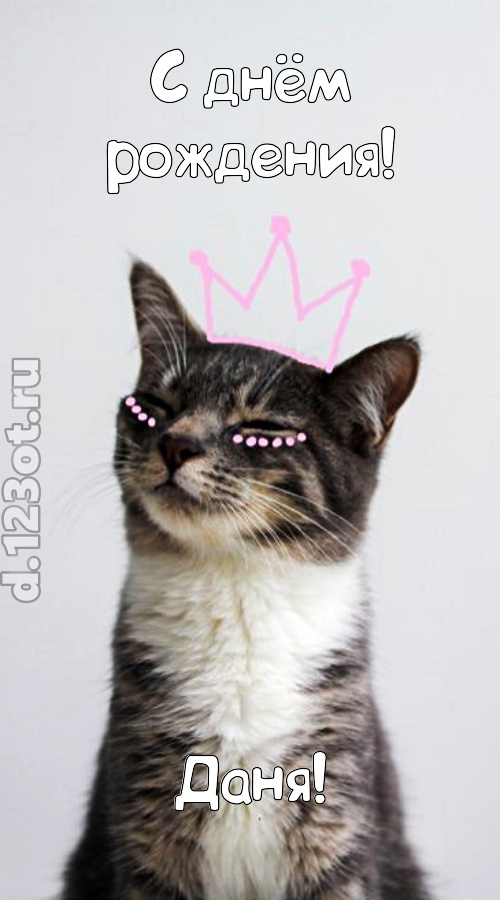любимая открытка с днём рождения даня, скачать онлайн бесплатно на iphone для вацап, поздравление даня