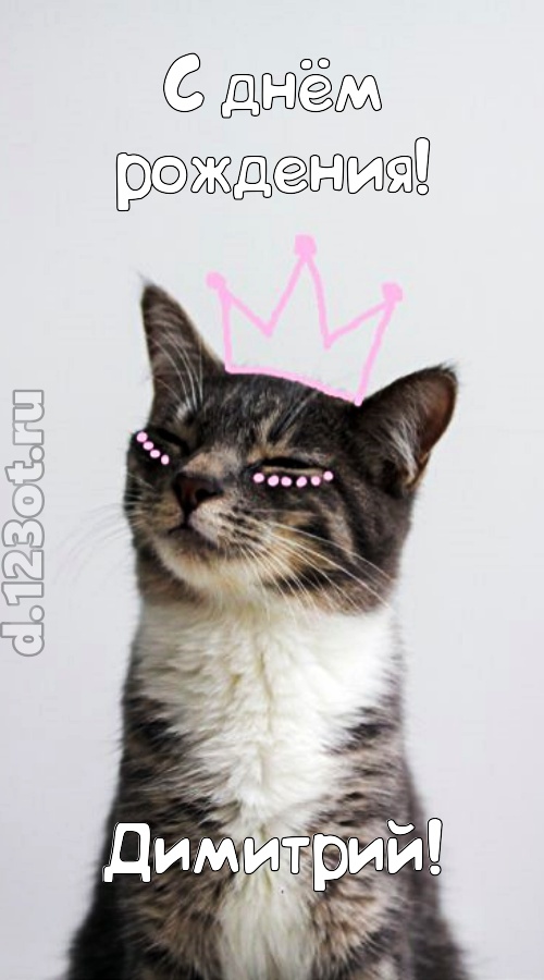 любимая открытка с днём рождения димитрий, скачать онлайн бесплатно на iphone для вацап, поздравление димитрий