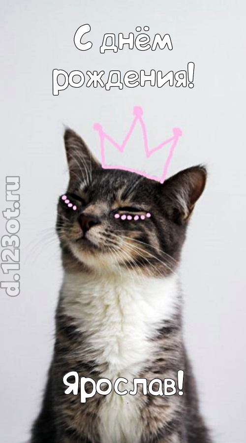 любимая открытка с днём рождения ярослав, скачать онлайн бесплатно на iphone для вацап, поздравление ярослав